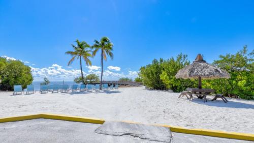 a beach with chairs and an umbrella and palm trees at Aqua Vista Ocean Pointe 3307 in Key Largo