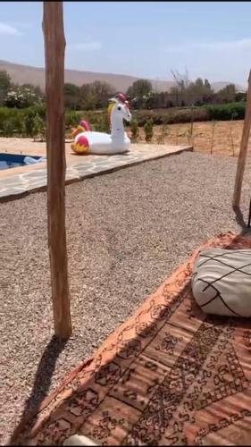 Bazén v ubytování Séjour Authentique à Marrakech nebo v jeho okolí