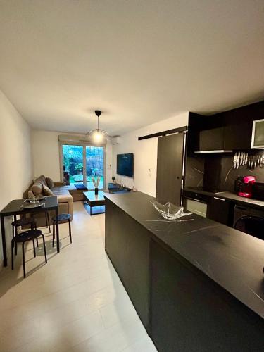 une cuisine avec un comptoir et un salon dans l'établissement Le petit Cosy Aixois, à Aix-en-Provence