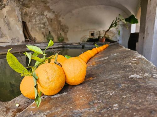 Rignano FlaminioにあるL' Antico lavatoioのギャラリーの写真