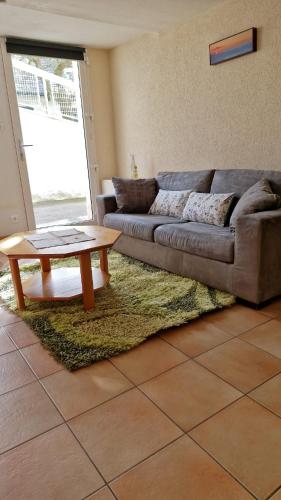 un salon avec un canapé et une table basse dans l'établissement Appartement F1 à la campagne, à Cruseilles