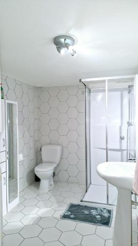 une salle de bain avec toilettes, douche et lavabo dans l'établissement Appartement F1 à la campagne, à Cruseilles