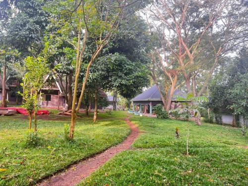 a dirt path in a yard with trees and a house at Nguru Farm in Kabale