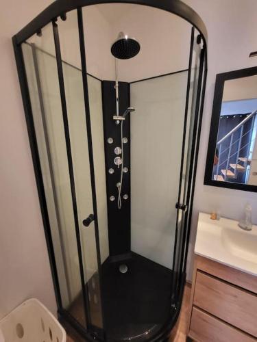 La salle de bains est pourvue d'une douche et d'un lavabo. dans l'établissement Maisonnette indépendante 48m2 , parking privé, calme & confort, à Lagarrigue