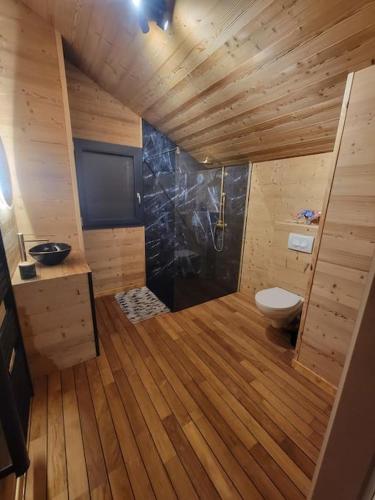 La salle de bains en bois est pourvue de toilettes et d'une douche. dans l'établissement Chalet à louer, Spa, sauna, billard, gerardmer, à Gérardmer