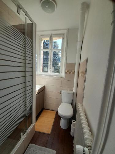 une petite salle de bain avec toilettes et douche dans l'établissement Aile Château La Chapelle du Bois des Faulx, à La Chapelle-du-Bois-des-Faulx