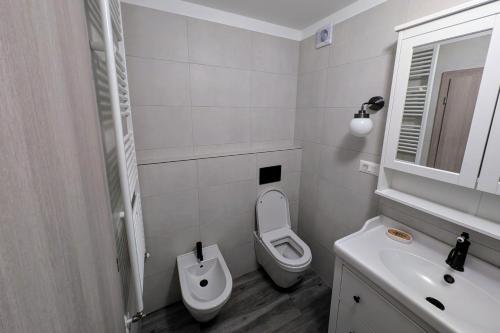 a white bathroom with a toilet and a sink at Fuzine Lake Apartments in Fužine