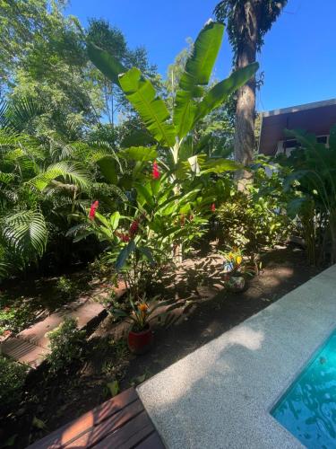Kolam renang di atau dekat dengan Villa Wolaba