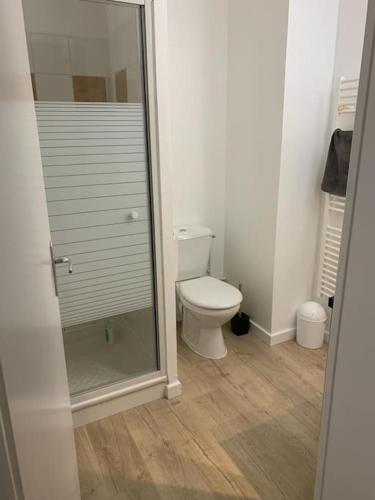 une salle de bain avec toilettes et douche en verre dans l'établissement 