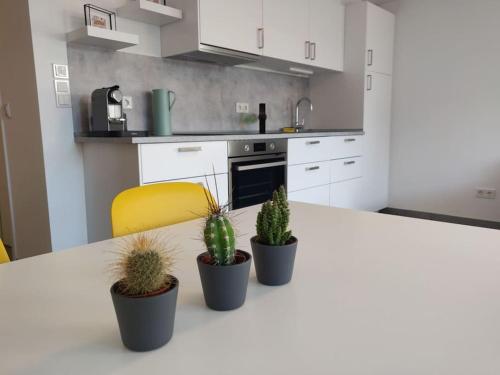 a kitchen with three potted plants on a counter at Ruhige 2-Zimmer Wohnung in zentraler Taunus Lage in Bad Homburg vor der Höhe