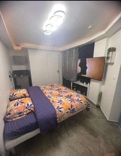 une chambre avec un lit et une télévision dans l'établissement Pacha studio, à Bagnolet