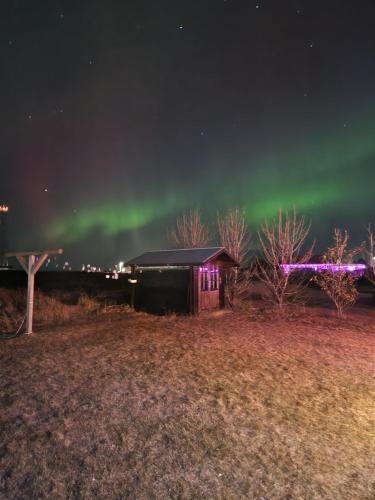 an image of the aurora in the sky over a cabin at LAVA Studio Keflavik in Keflavík