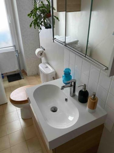 une salle de bain avec un lavabo, des toilettes et un miroir dans l'établissement Quiet APT 2Rooms Big Kitchen Canal Saint Martin, à Paris