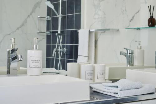 - un comptoir de salle de bains avec 2 bouteilles de savon et des serviettes dans l'établissement Appartement type F2 rénové- Quartier Elysée, à Paris