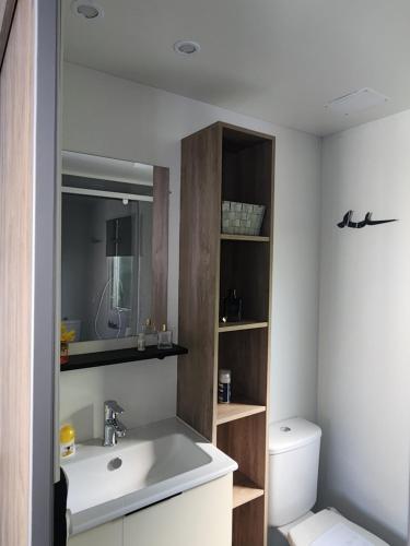 a bathroom with a sink and a toilet at Mobil-home climatisé à Valras Plage dans le camping 4 étoiles les Sables du midi à 800m de la plage in Sérignan