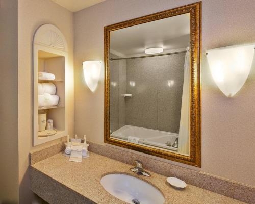 a bathroom with a sink and a mirror at Holiday Inn Express & Suites Dyersburg, an IHG Hotel in Dyersburg