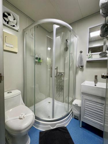 a bathroom with a shower and a toilet and a sink at Bungalows at Residencias Arenal in Fortuna
