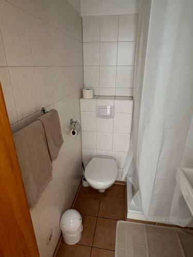 a small bathroom with a toilet and a sink at Steinberger Hof Übernachtungen in Rinteln