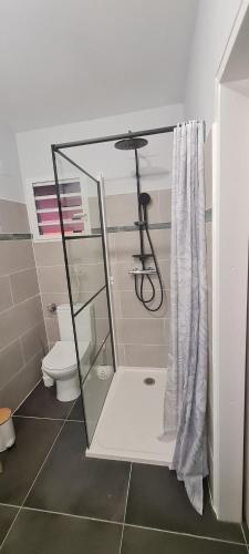 a small bathroom with a shower and a toilet at Les Gîtes Kajou in Bouillante