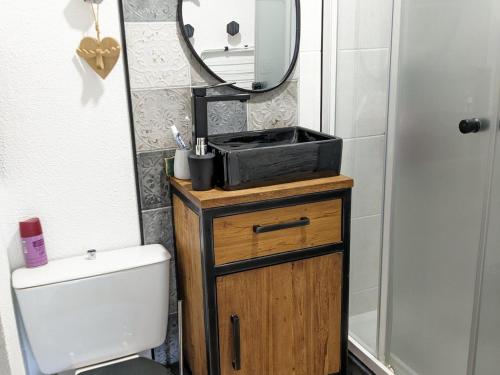 une salle de bain avec un lavabo et un miroir et des toilettes dans l'établissement Pied des pistes, 2P, 5 pers, balcon, cuisine équipée - FR-1-557-131, à Les Adrets