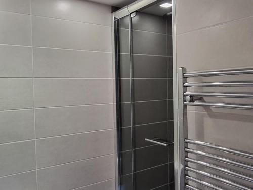 une douche avec une porte vitrée dans une salle de bain dans l'établissement Duplex lumineux 6/7 pers, accès pistes, WIFI, animaux acceptés - FR-1-181-2836, à La Plagne Tarentaise