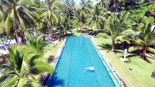 une vue aérienne d'une piscine avec des palmiers dans l'établissement Blue Haven Bay Villa 21D and Resort Apartments, à Ko Chang
