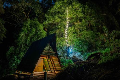 a small tent in a forest at night at Bambara Ella Agro Resort & Camping in Haputale