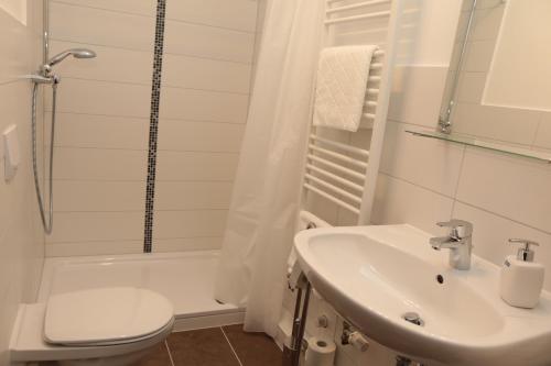 a bathroom with a sink and a toilet and a shower at Holsteiner Hof in Heist