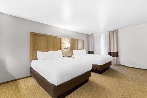 two beds in a hotel room with white sheets at Comfort Suites in Columbia
