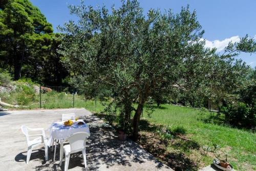 Apartments & Rooms Tapera- Standard One Bedroom Apartment with Terrace and Garden View