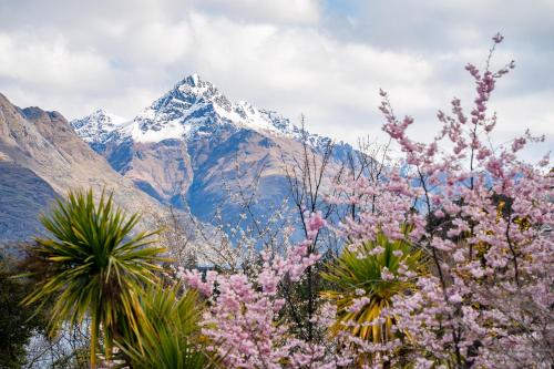 a snow covered mountain in the distance with pink flowers at Spectacular views uninterrupted! 3 BR, Private! in Queenstown