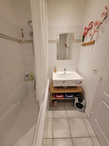 Un baño de Château des Princes "Prince Cupidon"