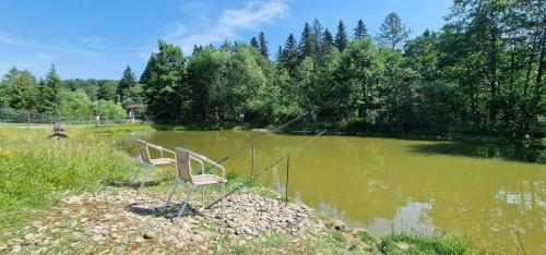a bench in front of a lake with a fishing pole at Poiana Bucovat in Gura Humorului