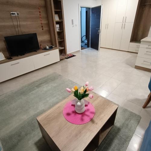 TV a/nebo společenská místnost v ubytování Apartmani Porta Infinitas