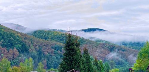 Naturlandschaft in der Nähe der Pension