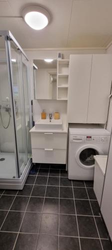 a bathroom with a sink and a washing machine at Small cosy and fully equipped apartment with the possibility to rent a car in Tromsø