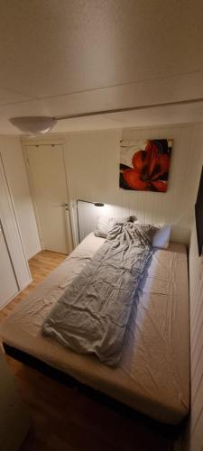 a bed in a room with a painting on the wall at Small cosy and fully equipped apartment with the possibility to rent a car in Tromsø