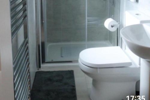 a bathroom with a toilet and a shower and a sink at HotTub-Nature-FamilyFriendly-WiFi-Parking in Ballykelly