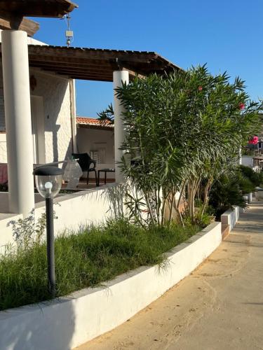 a street light in front of a house with palm trees at Oasi Di Casablanca in Lampedusa