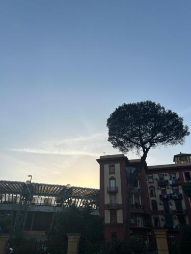 Paesaggio naturale nelle vicinanze dell'affittacamere