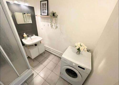 une salle de bain avec un lavabo et une machine à laver dans l'établissement Appartement Brunard, à Lyon