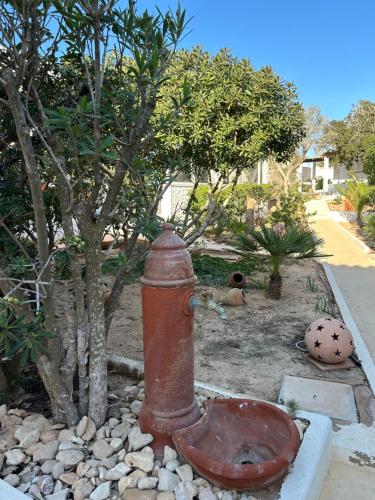 an old fire hydrant in a garden with a tree at Oasi Di Casablanca in Lampedusa