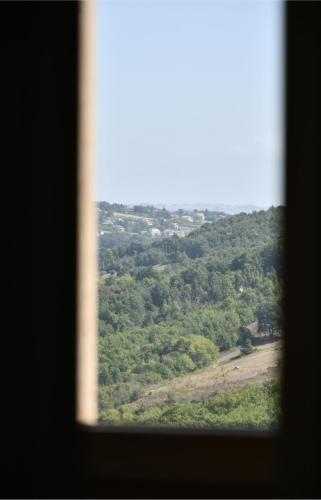 a view from a window of a hill with trees at Dimora il Tartufo Relax e Benessere con Spa Privata in Busso