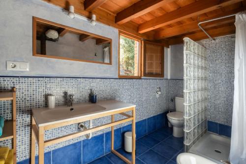 une salle de bain avec un lavabo et des toilettes dans l'établissement La Casona de Abajo, à Avalle 
