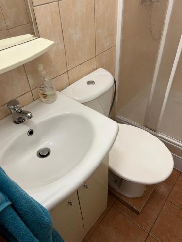 Koupelna v ubytování Apartment City Centre Znojmo