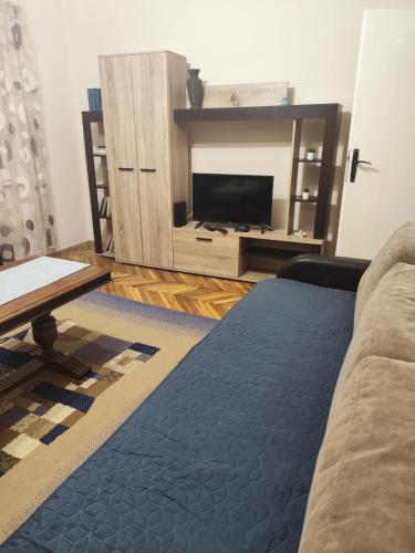 un soggiorno con TV e divano di Apartman Nešković a Veliko Gradište