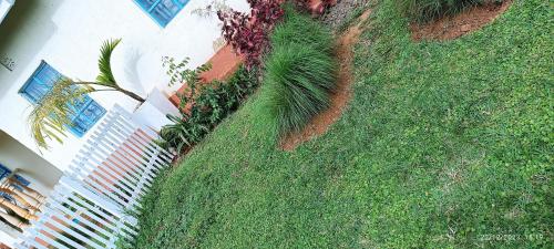 Zahrada ubytování Kai Suites Kitale