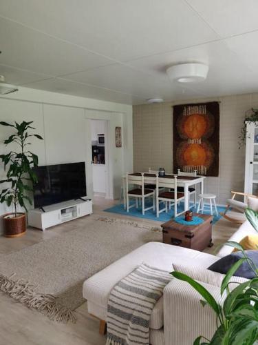 Televisyen dan/atau pusat hiburan di A beautiful row house