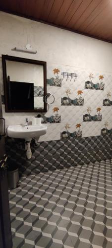 a bathroom with a sink and a mirror at Halli Hithalu Homestay in Chikmagalūr