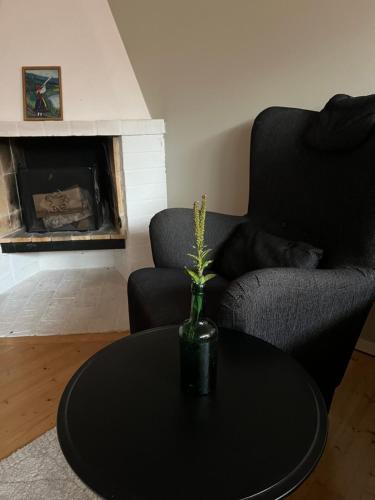 a living room with a black table with a vase on it at Coosy authentic swedish wooden studio apartment, 25 min to Stockholm city-Own entrance in Stockholm